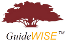 GuideWISE Logo